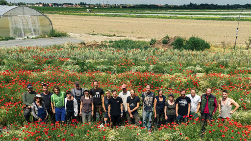 Solidarische Landwirtschaft Taucha