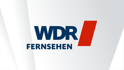 WDR Fernsehen Logo für den WDR 24/7-Livestream